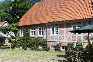 Historische Wassermühle mit Wohnhaus und vier Ferienapartments mitten in Schleswig-Holstein
